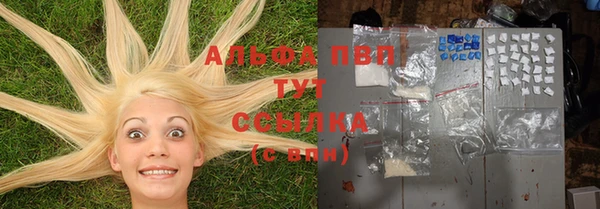 стафф Киренск