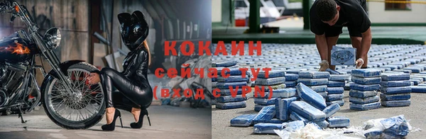 стафф Киренск