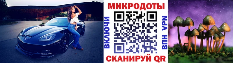 Купить  Данилов  Псилоцибиновые грибы мицелий 