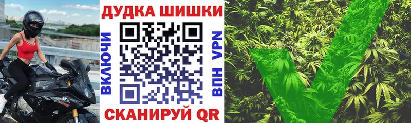 Купить где Данилов Бошки Шишки конопля